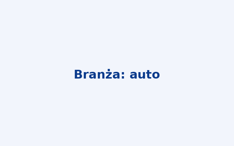 Branża motoryzacyjna